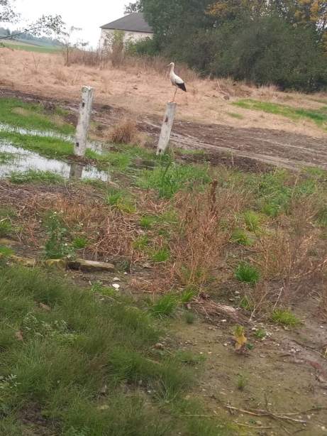 122692323_3346905038719855_9088727828947686010_o