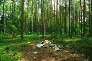 śmieci-w-lesie-shutterstock_373234474